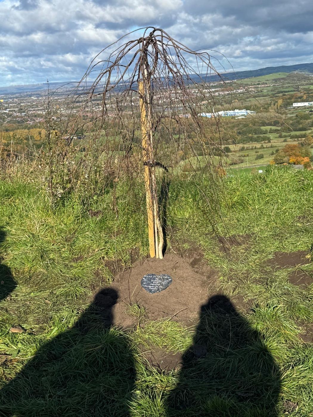 Lync's Tree with its heart stone, looking out across the valley
