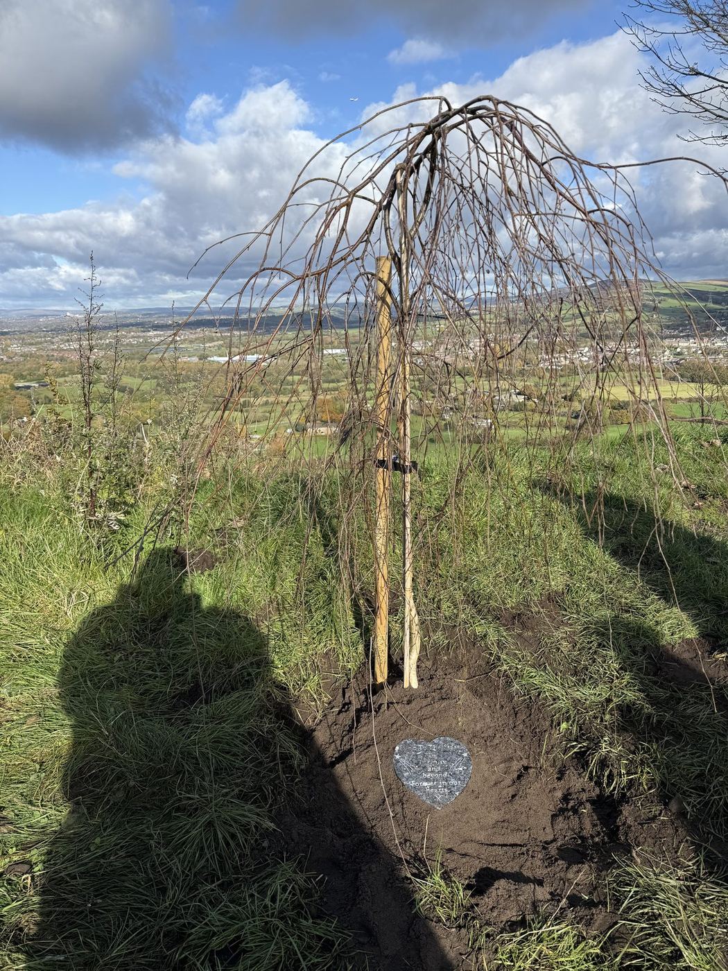 Lync's Tree, a young silver birch, with a heart stone at its base